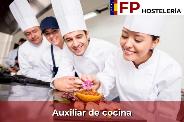 Auxiliar de cocina