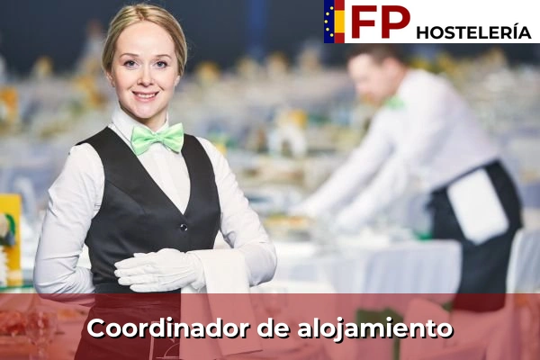 Coordinador de alojamiento