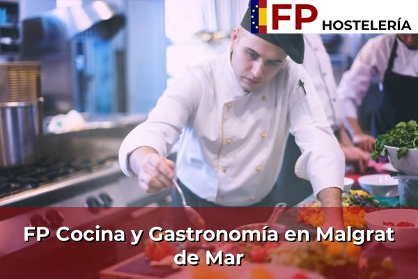 FP Cocina y Gastronomía en Sant Esteve Sesrovires 141 FP Cocina y Gastronomía en Malgrat de Mar